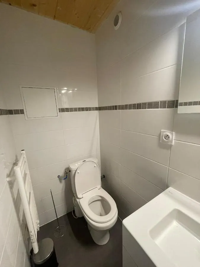 Le Petit Fontanieres Studio Cosy Gratte Ciel Villeurbanne 0*,